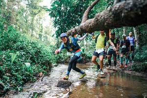 BIB: 
                            <button type="button" onclick="openModal(25370135)" class="btn btn-primary btn-sm float-right btn-popup" data-toggle="modal" data-target=".modal-high-quality">
                        <i class="fas fa-shopping-cart"></i> Add to Cart
                    </button>
                                            <button type="button" onclick="isThisMe(25370135, true)" class="btn btn-success btn-sm float-right btn-popup btn-isme hidden" data-toggle="tooltip" data-placement="bottom" title="นี่คือรูปของคุณใช่ไหม คลิกที่นี่เพื่อเอาเข้าอัลบั้ม">
                        <i class="fas fa-plus"></i> Add to album
                    </button>
                    <button type="button" onclick="isThisMe(25370135, false)" class="btn btn-warning btn-sm float-right btn-popup btn-isnotme hidden">
                        <i class="fas fa-ban"></i> Remove from album
                    </button>